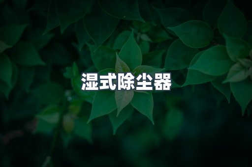 脉冲布袋除尘器