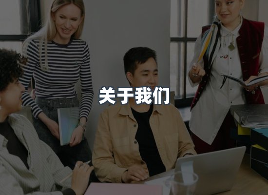 专业团队